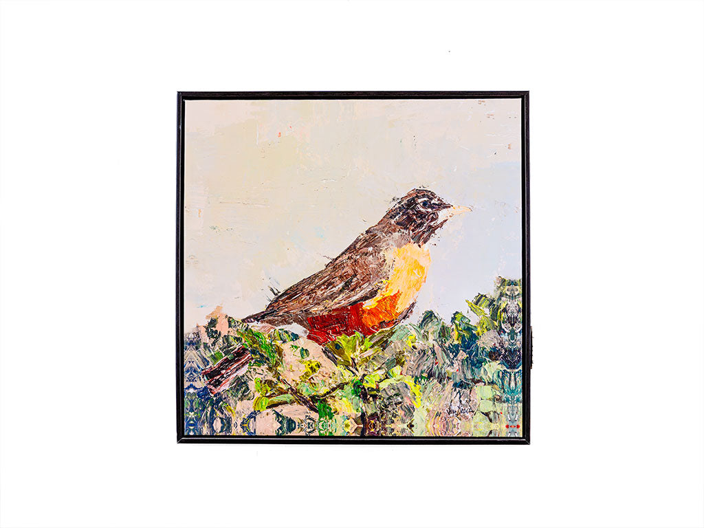 Robin
