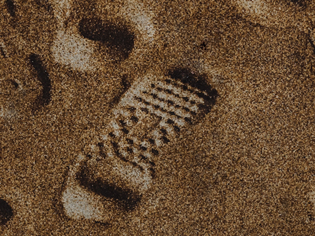 115 (4'11'' x 2'8'')