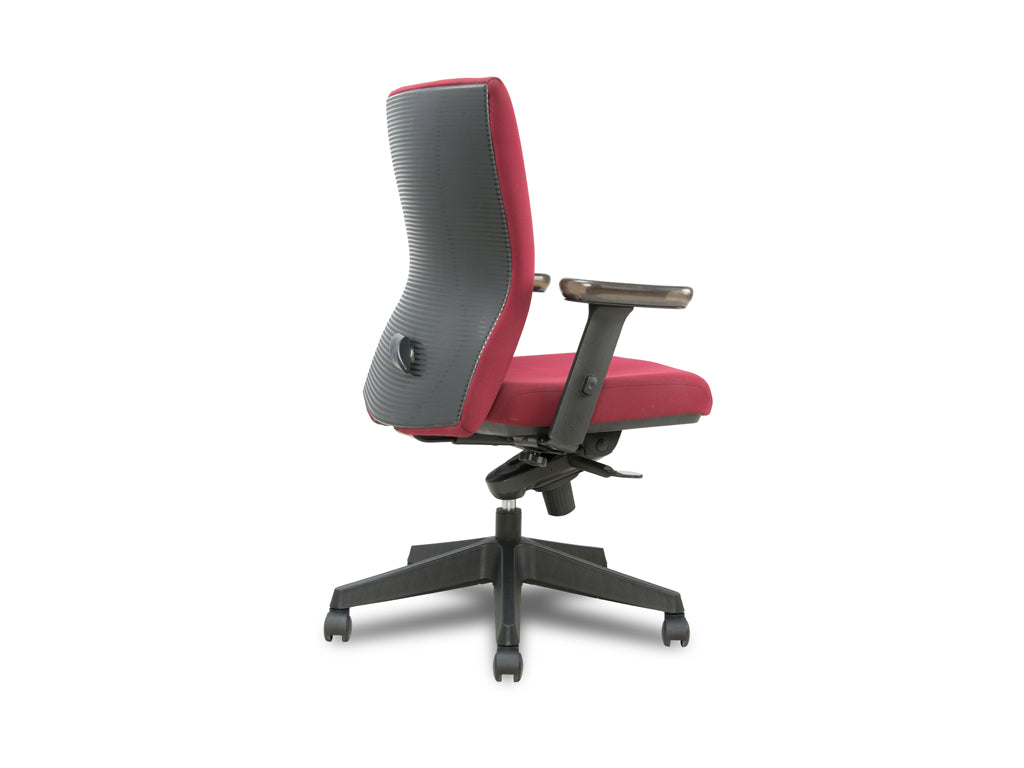 X-Zibra