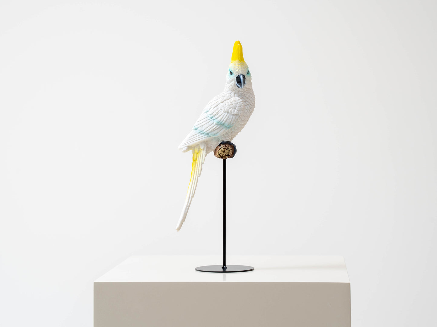 Parrot Sitting Sculpture 1067 (1 Pc Available)